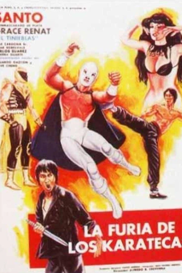 La furia de los karatecas Poster