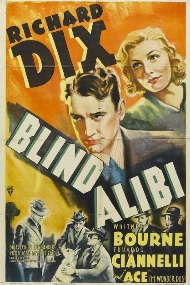 Blind Alibi Poster