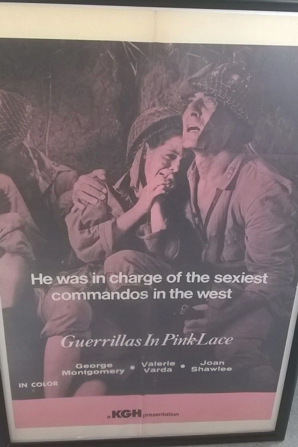 Guerillas in Pink Lace Poster