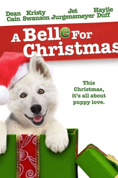 Ein tierisch schönes Weihnachtsgeschenk