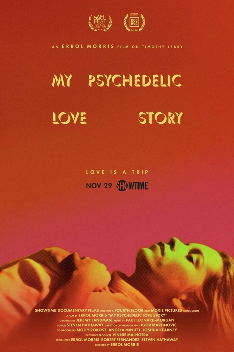 My Psychedelic Love Story Poster