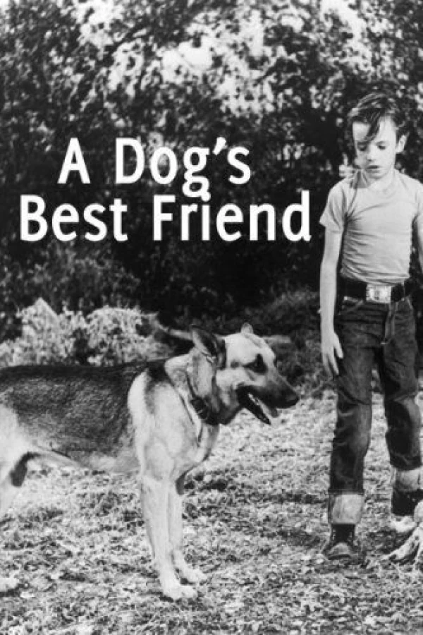 A Dog's Best Friend Poster