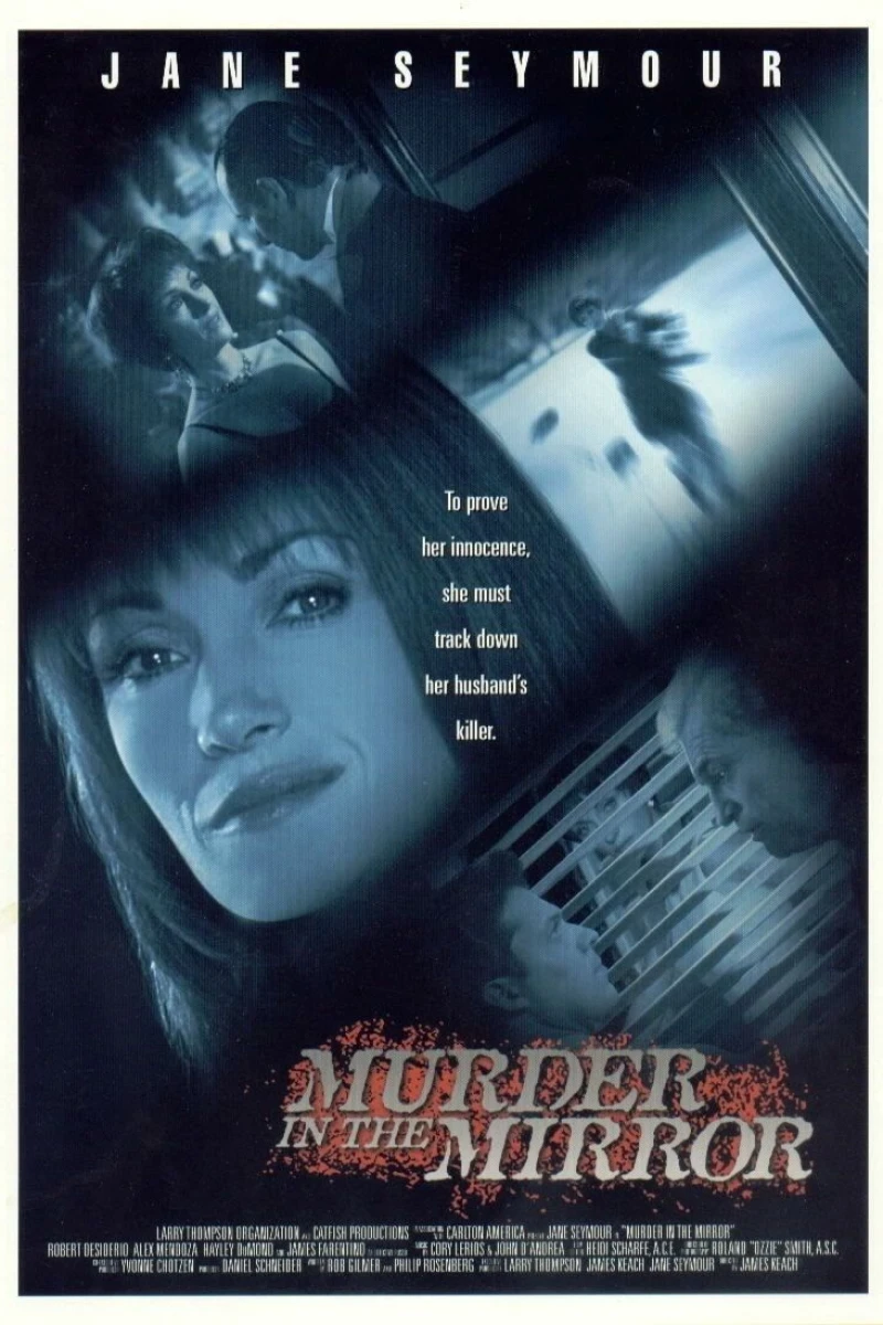 Murder in the Mirror Poster