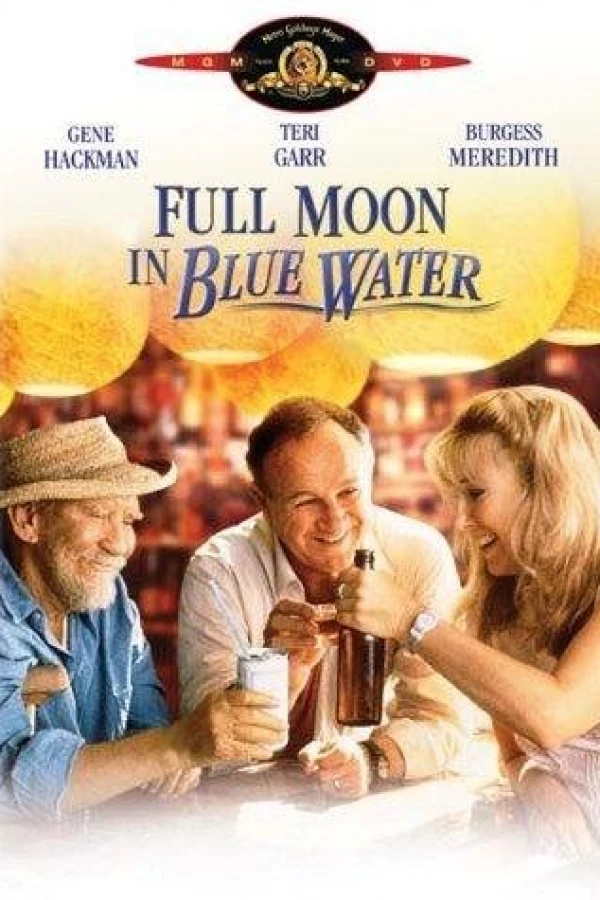 Full Moon in Blue Water Poster