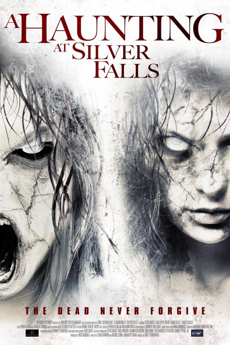 Paranormal Haunting at Silver Falls Poster