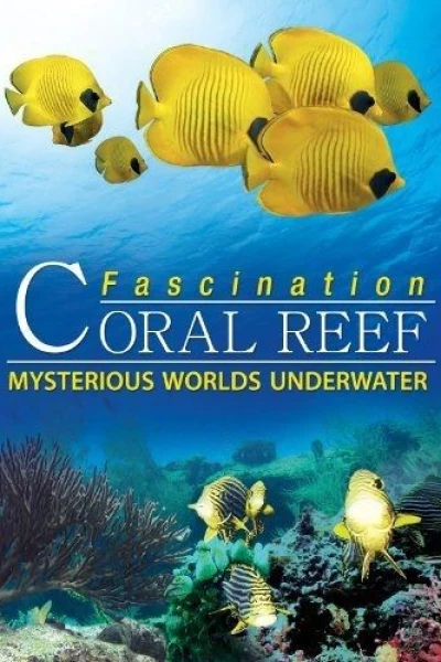 Faszination Korallenriff 3D - Fremde Welten unter Wasser (2012)