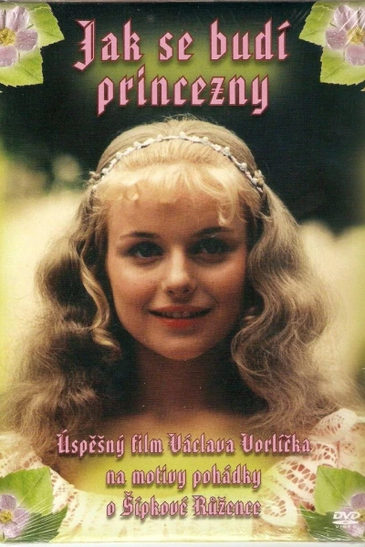 Prinzessin Dornröschen