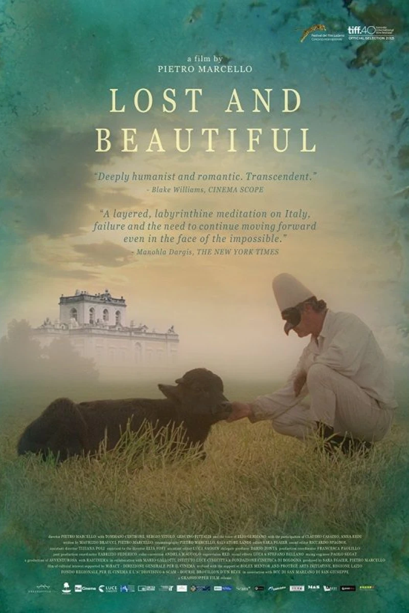 Lost and Beautiful Poster