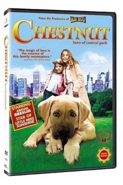 Chestnut – Der Held vom Central Park