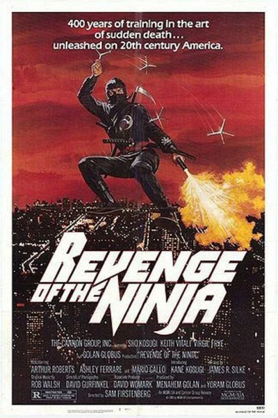 Die Rückkehr der Ninja