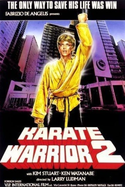 Karate Warrior II