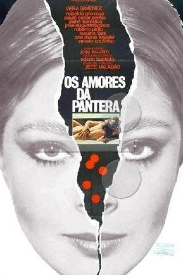 Os Amores da Pantera Poster