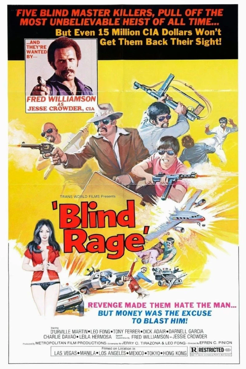 Blind Rage Poster