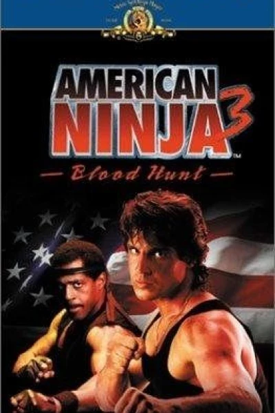 American Fighter 3