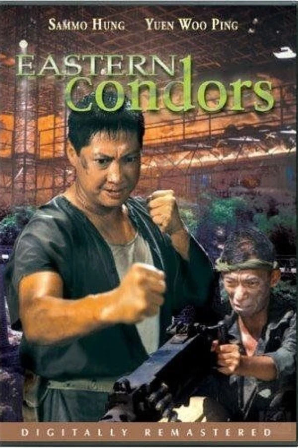 Operation Eastern Condors Poster
