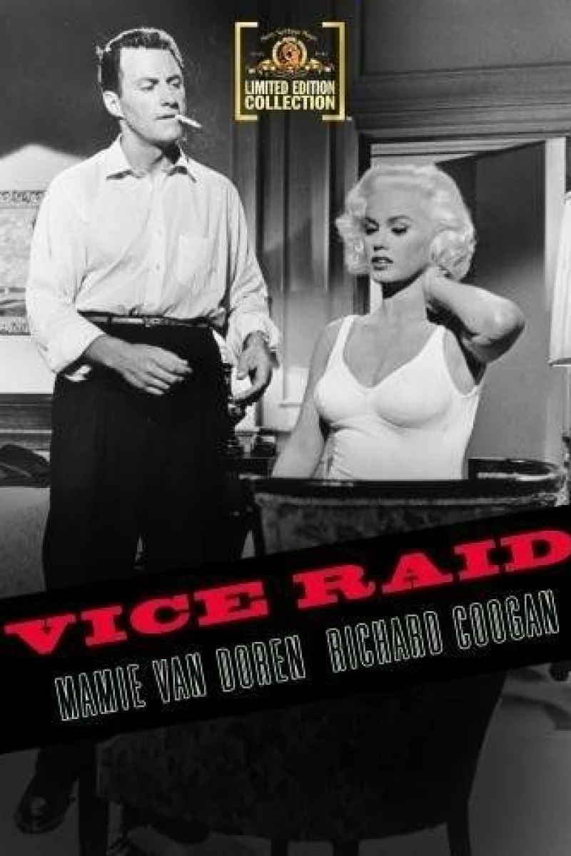 Vice Raid Poster