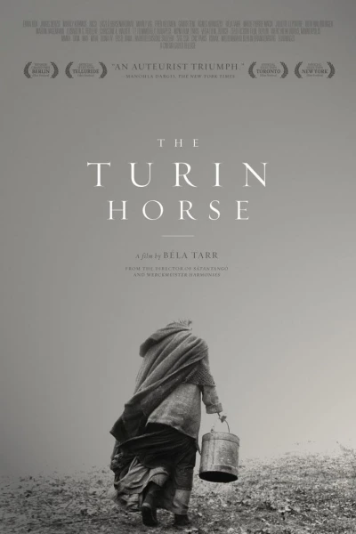Das Turiner Pferd