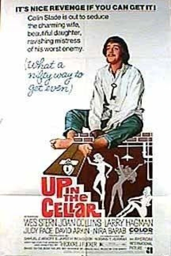 Up in the Cellar Poster