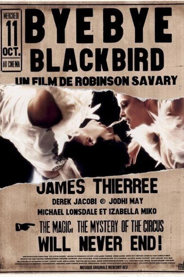 Adieu schöner schwarzer Vogel Poster