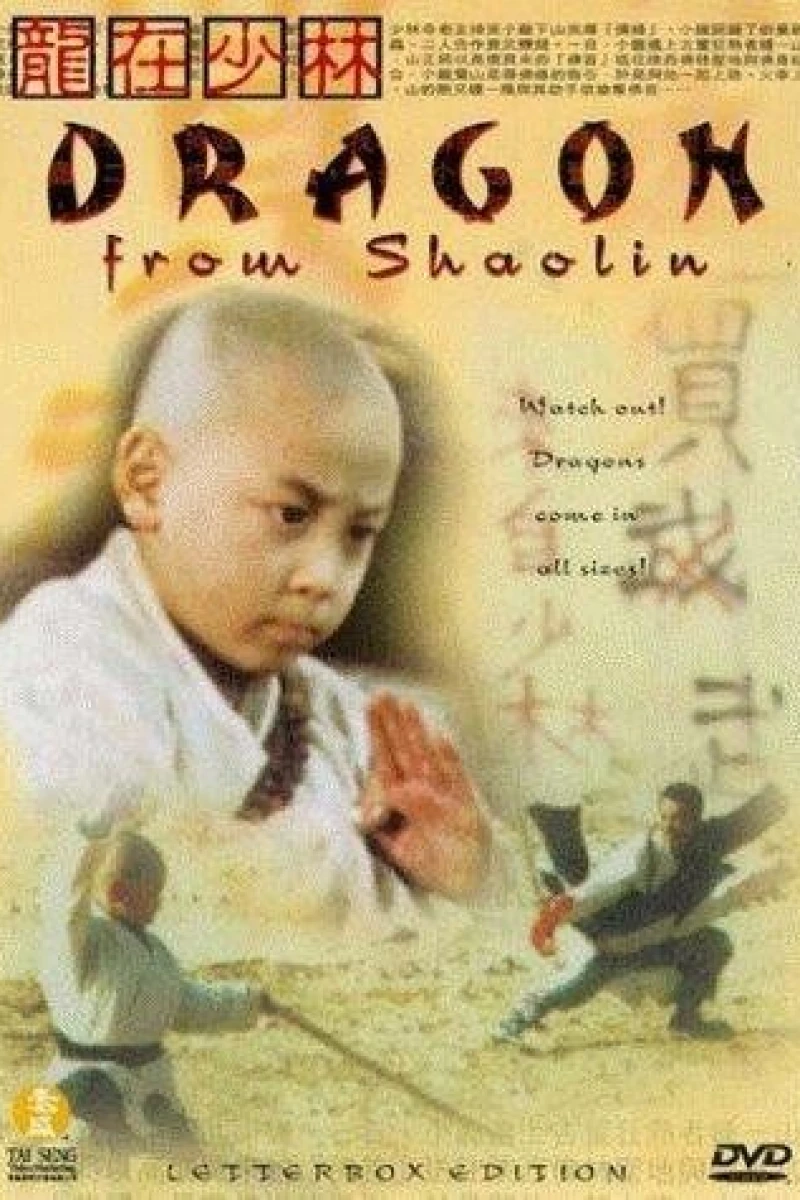 Dragon from Shaolin Poster