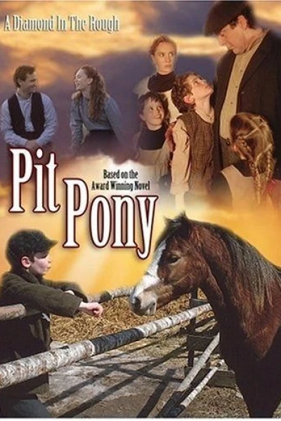 Pit Pony