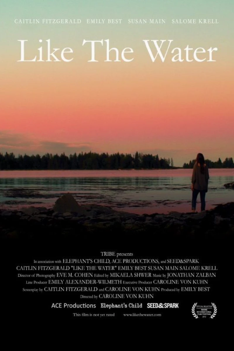Like the Water Poster