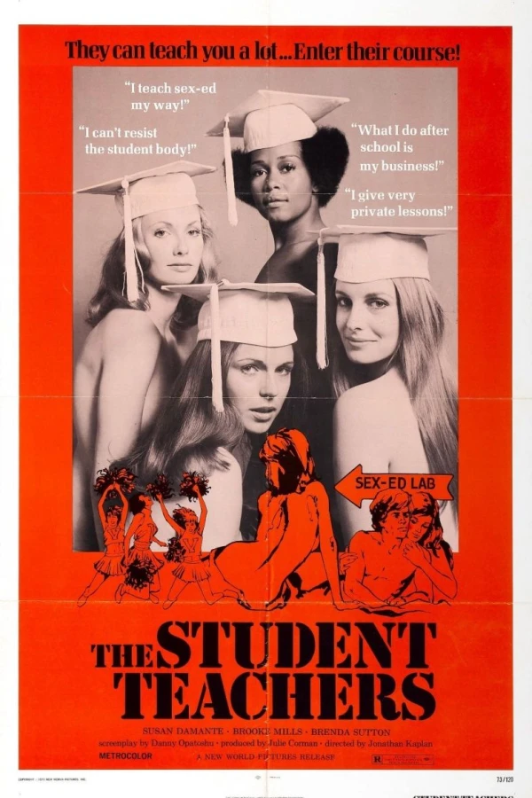 The Student Teachers Poster