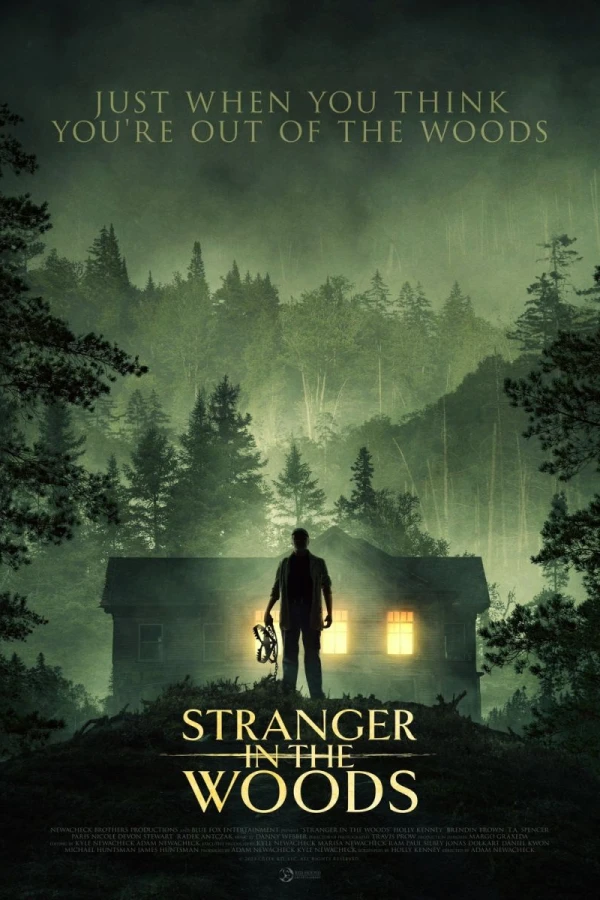 Stranger in the Woods Poster