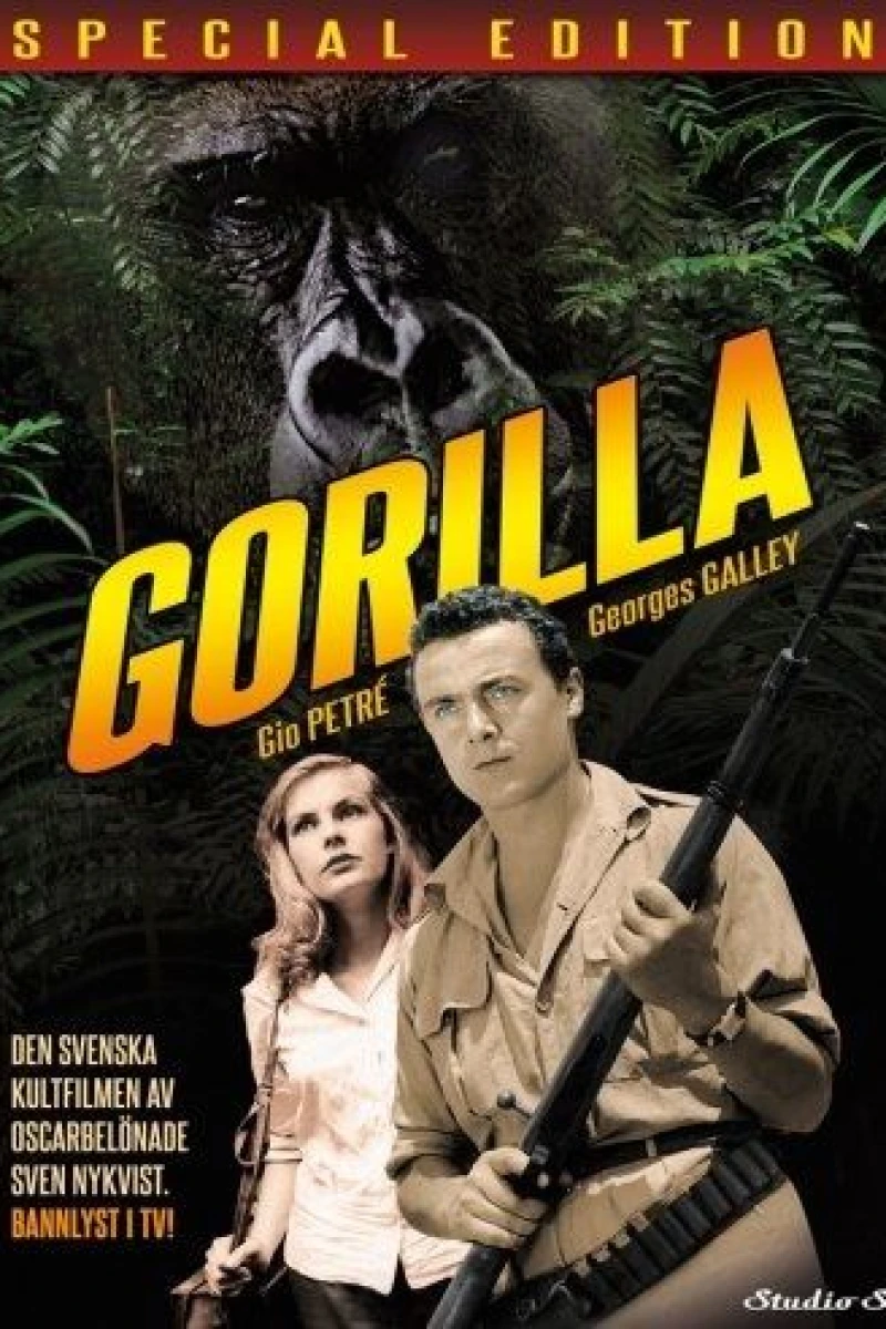 Gorilla Safari Poster