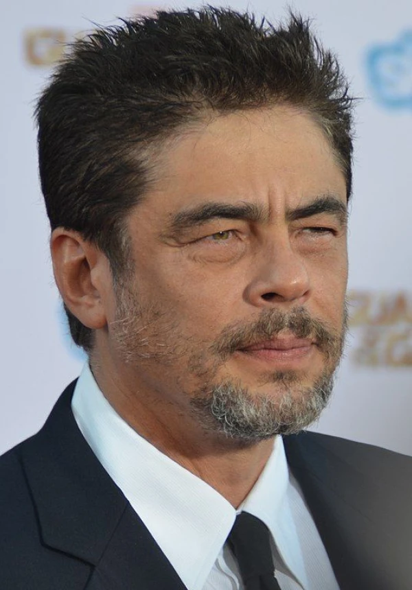 <strong>Benicio del Toro</strong>. Bild von Mingle Media TV.