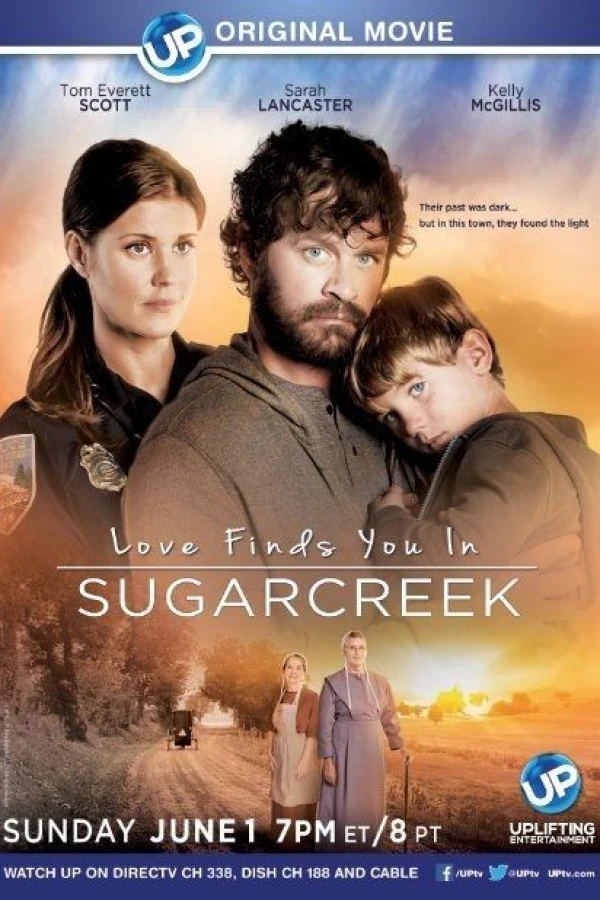 Die Liebe wird dich finden in Sugarcreek Poster