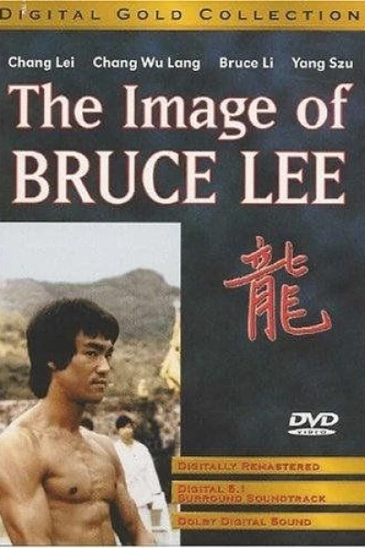 Bruce Lee - Der reißende Puma