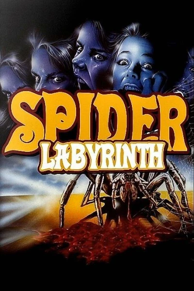 Spider Labyrinth - In den Fängen der Todestarantel