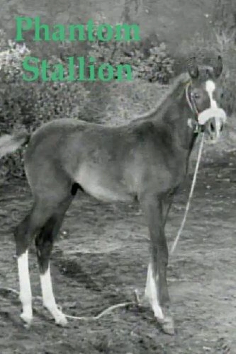Phantom Stallion Poster
