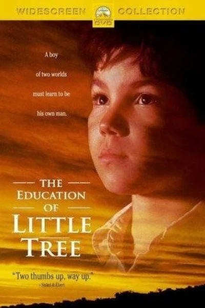 Die Abenteuer des Indianerjungen Little Tree