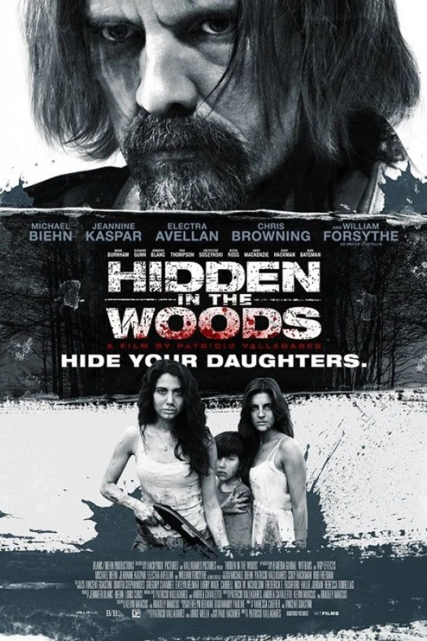 Hidden in the Woods Poster